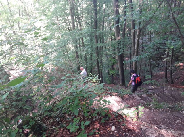 20190722_145533easy_foto imagek